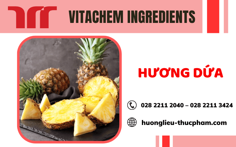 Nhà cung cấp hương dứa chất lượng, uy tín tại TP.HCM – Vitachem Ingredients Vitarom