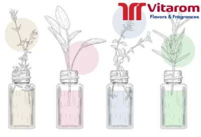 Phân Loại Hương Liệu Theo US Vitarom