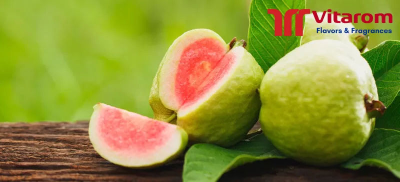Khám phá hương ổi - nguyên liệu quan trọng trong sản xuất thực phẩm Hương ổi