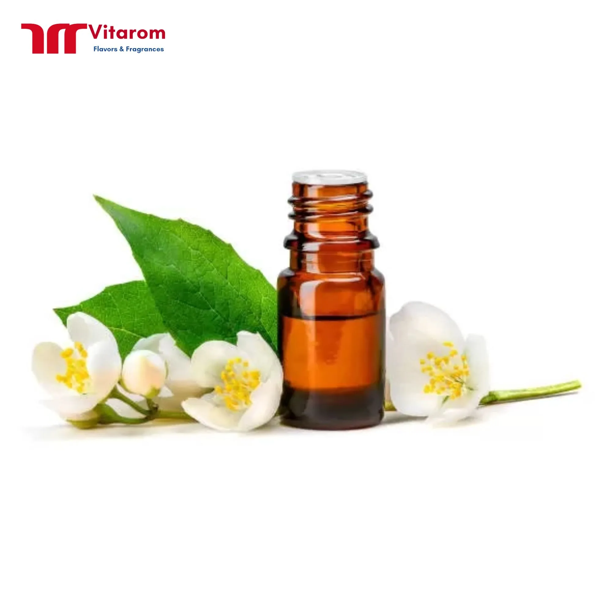 Tinh Dầu Hoa Lài Tinh Dầu Hoa Lài