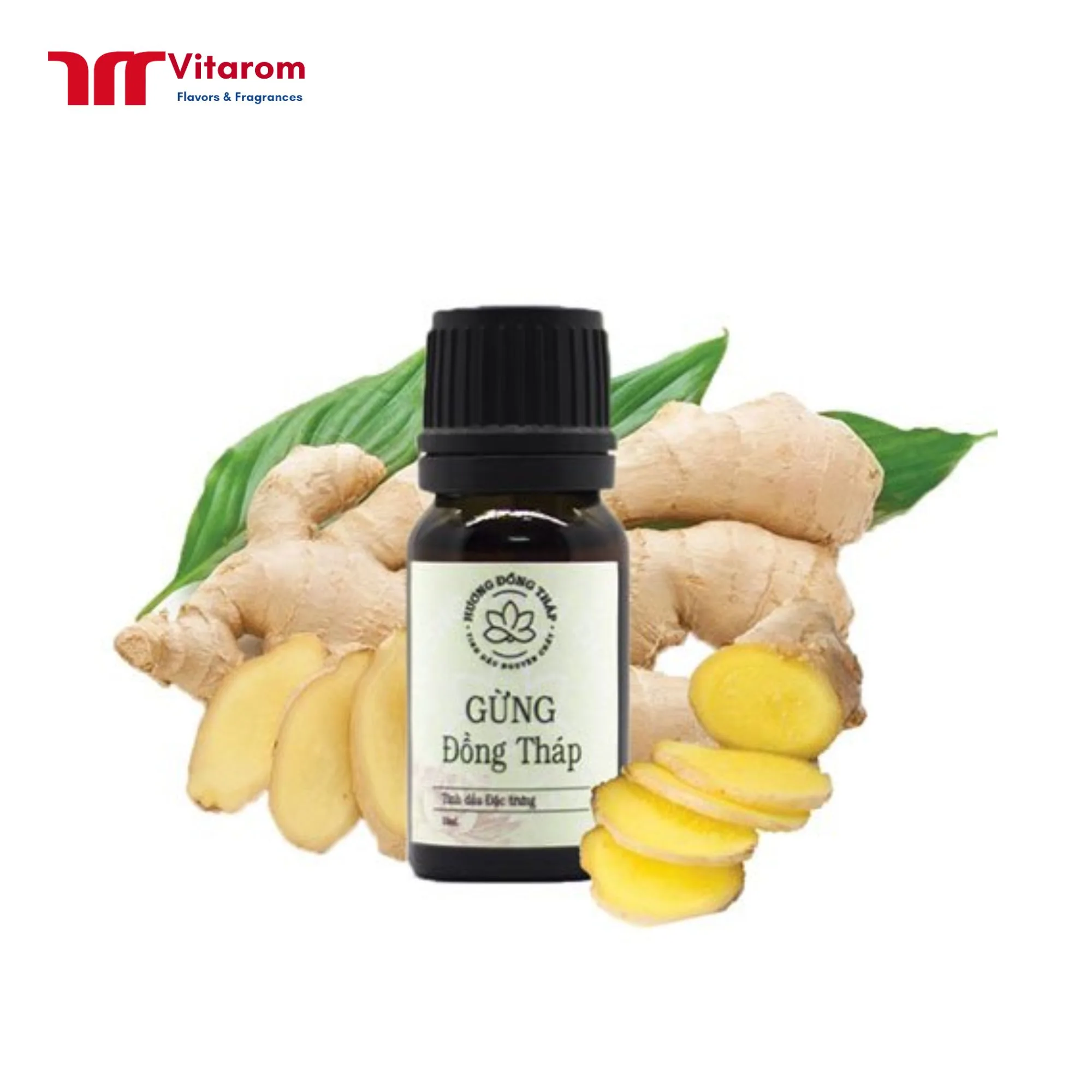 Tinh Dầu Gừng Tinh Dầu Gừng