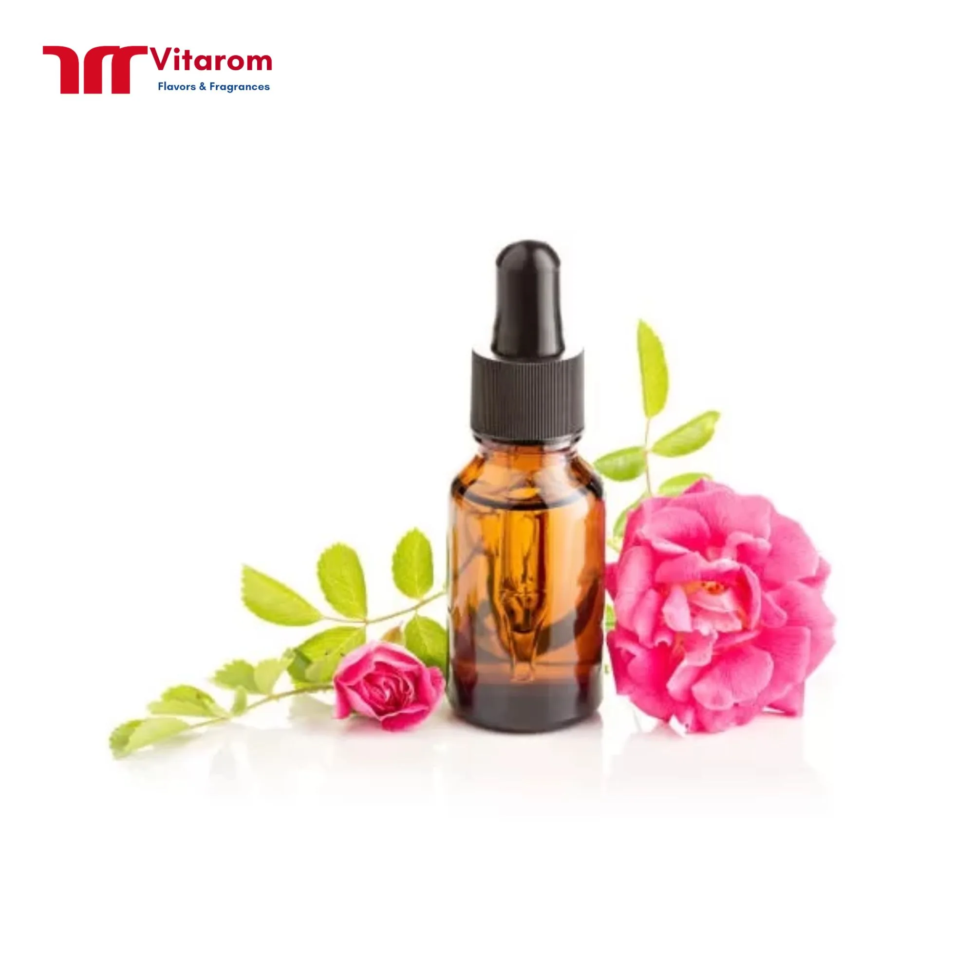 Tinh Dầu Hoa Hồng Tinh Dầu Hoa Hồng