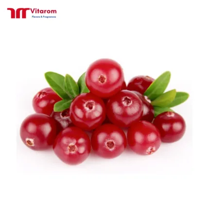 Hương Nam Việt Quất