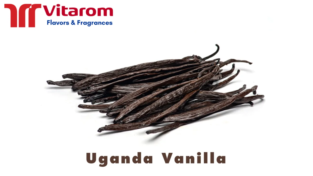 Uganda Vanilla