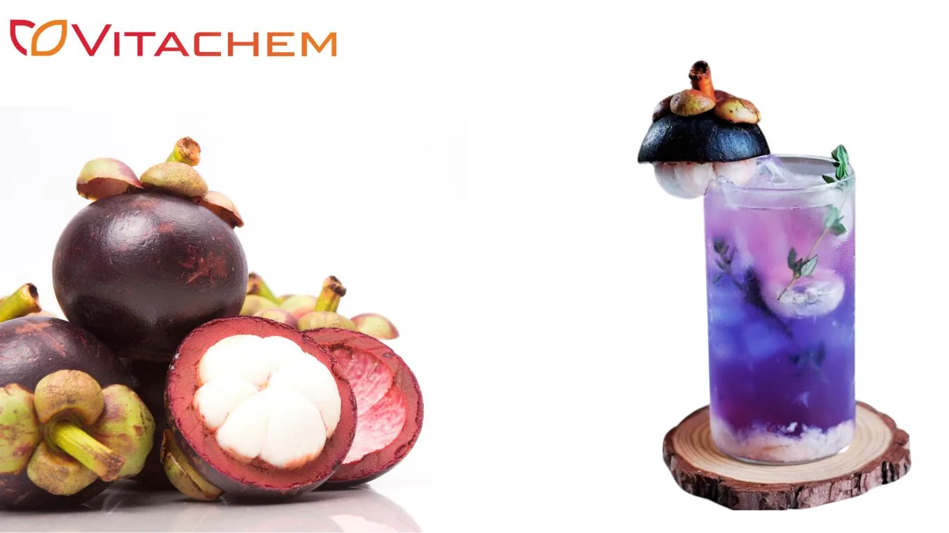 CÔNG DỤNG VÀ ỨNG DỤNG HƯƠNG MĂNG CỤT TRONG THỰC PHẨM Trà măng cụt