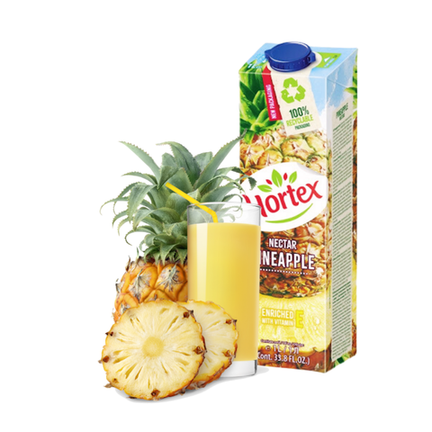 Công thức nước ép dứa nuoc_ep_hortex_vi_dua_1_lit